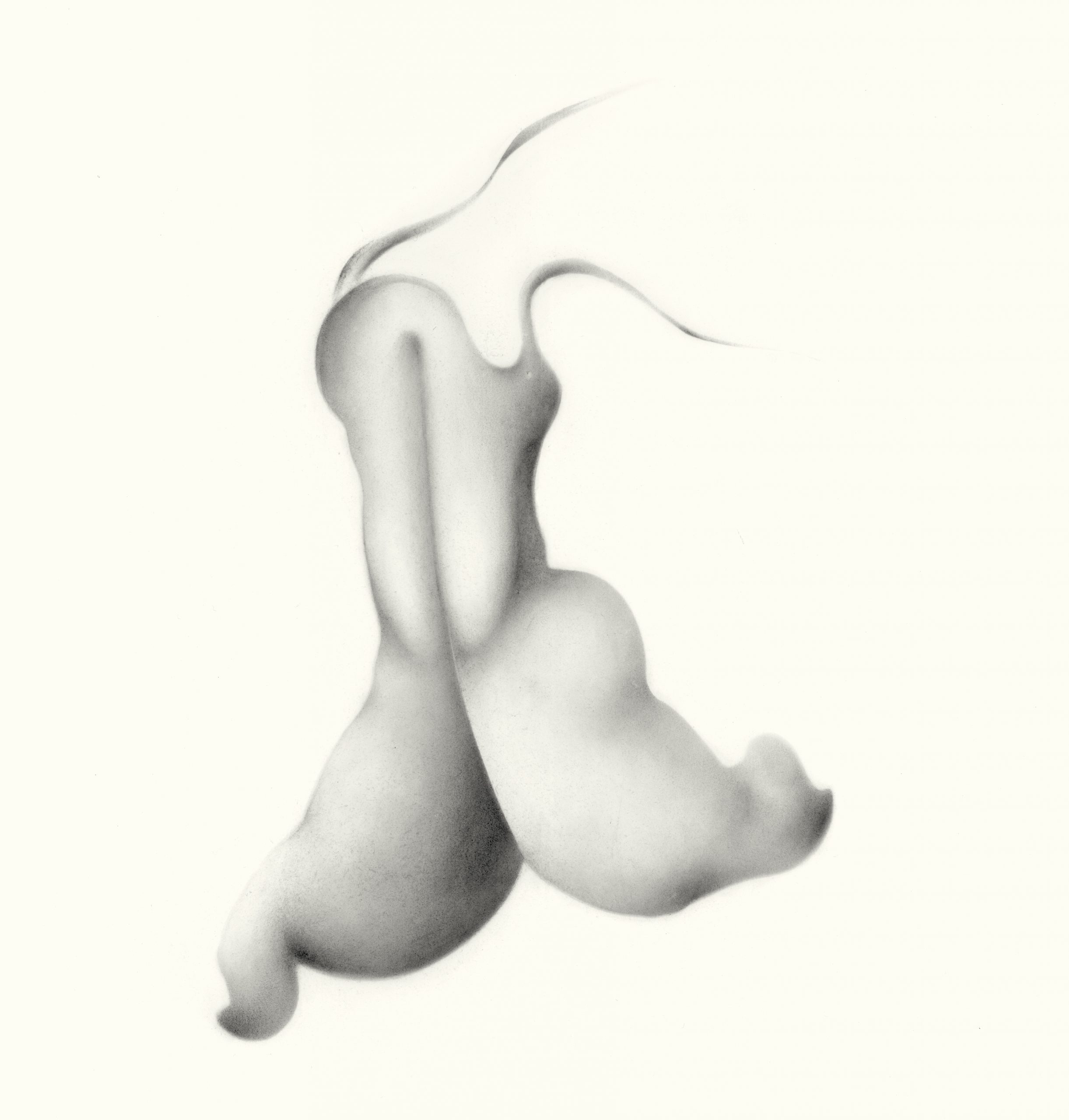 Alice Baillaud, Série Désir, n° 29, 44x44 cm, Graphite powder, 2013