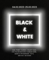 black-white-galerie-dumas-linz
