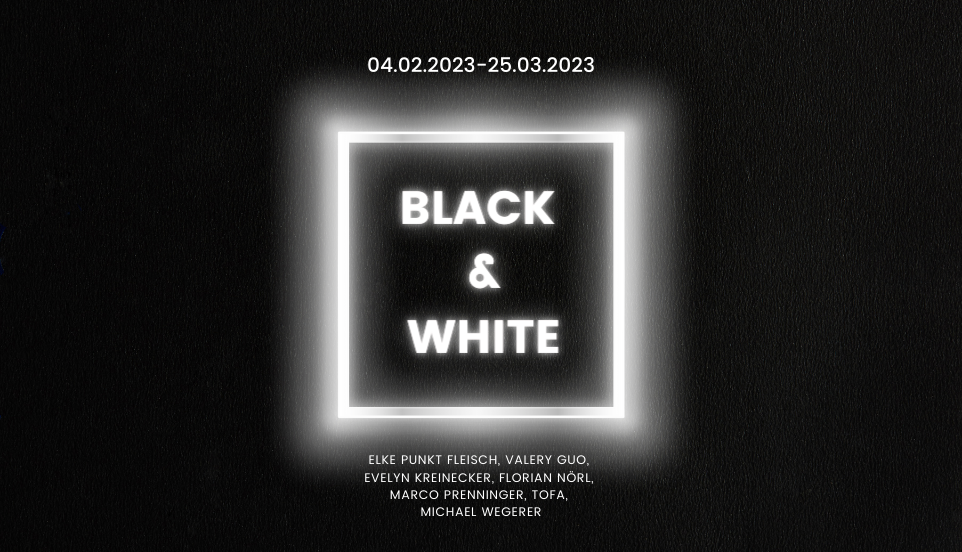 black-white-galerie-dumas-linz