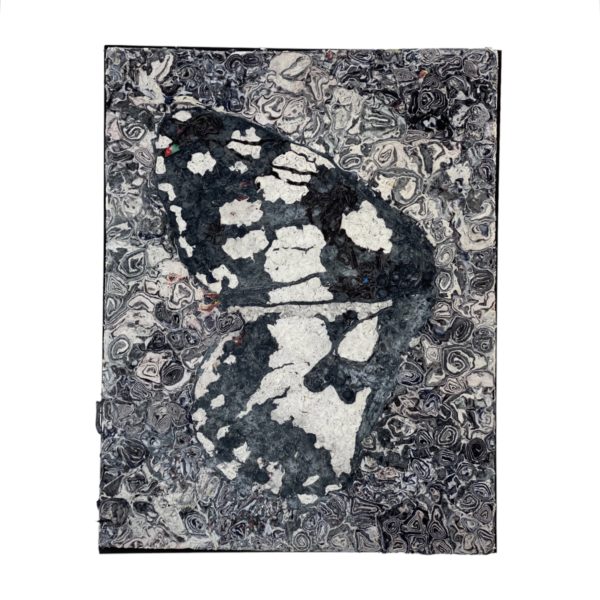 florian-norl-fly-but-schachbrettfalter-galerie-dumas-linz