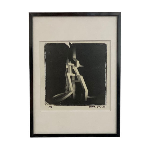 tofa-the-a-galerie-dumas-linz