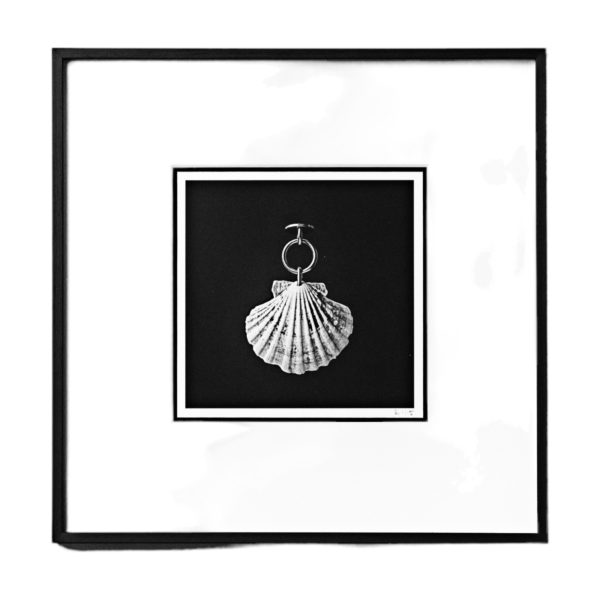 raul-izkierdo-aquarium-series-galerie-dumas-linz
