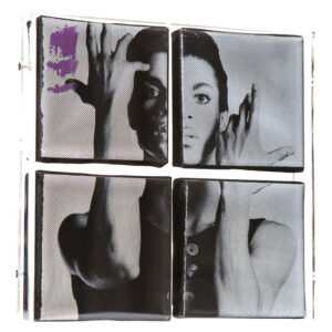 sandra-cheres-prince-galerie-dumas-linz