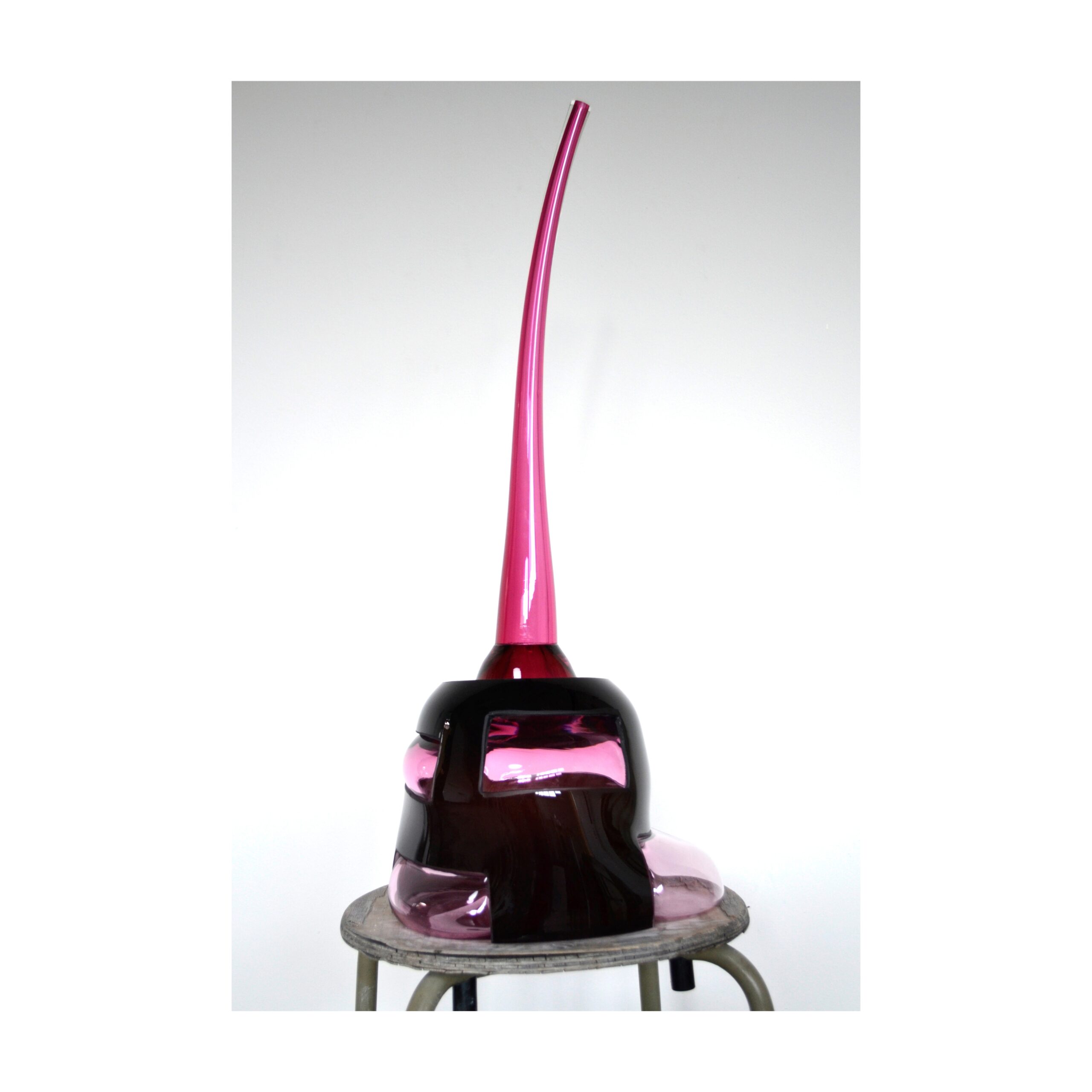 verena-schatz-inhabitant-fuchsia-galerie-dumas-linz