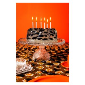 ness-rubey-bugs-galerie-dumas-linz