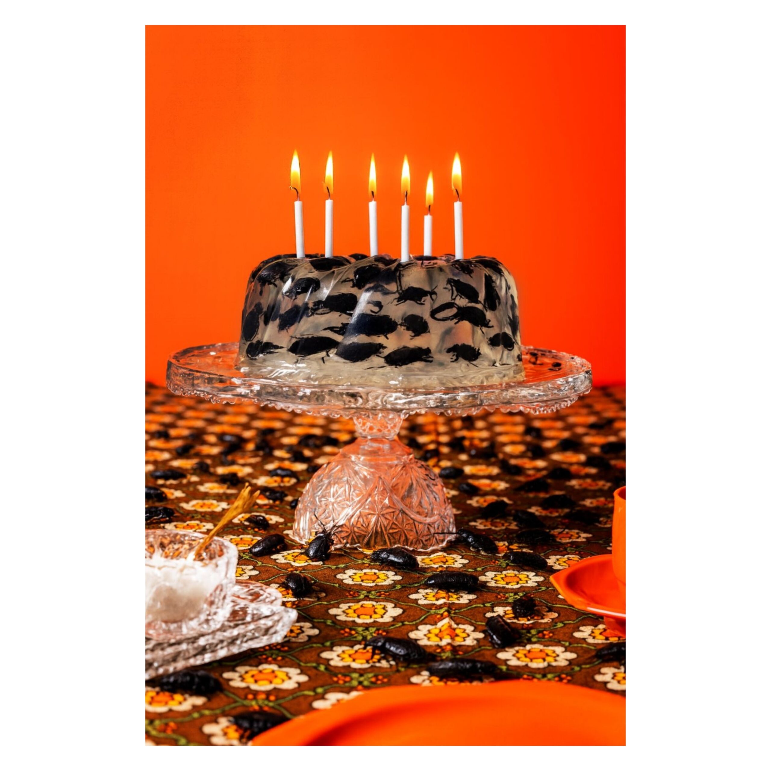 ness-rubey-bugs-galerie-dumas-linz