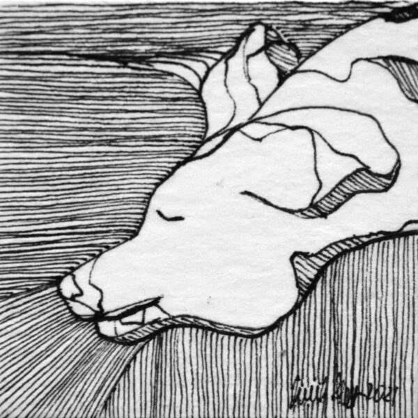 birgit-schweiger-aus-der-serie-erinnerungen-5-galerie-dumas-linz